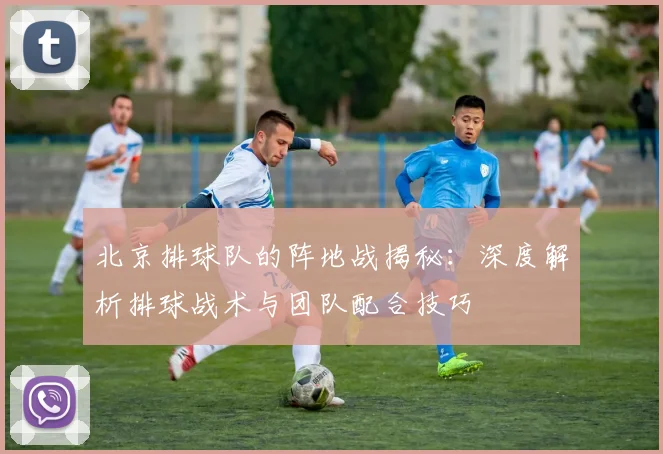 北京排球队的阵地战揭秘：深度解析排球战术与团队配合技巧