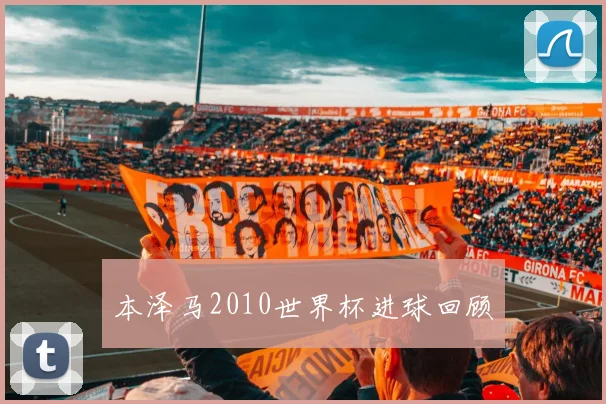 本泽马2010世界杯进球回顾